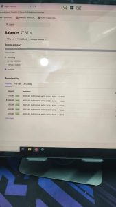 get verified Stripe accounts